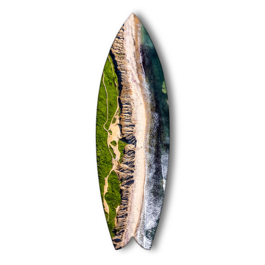 "Shadmoor Park" Twin Fin Surfboard